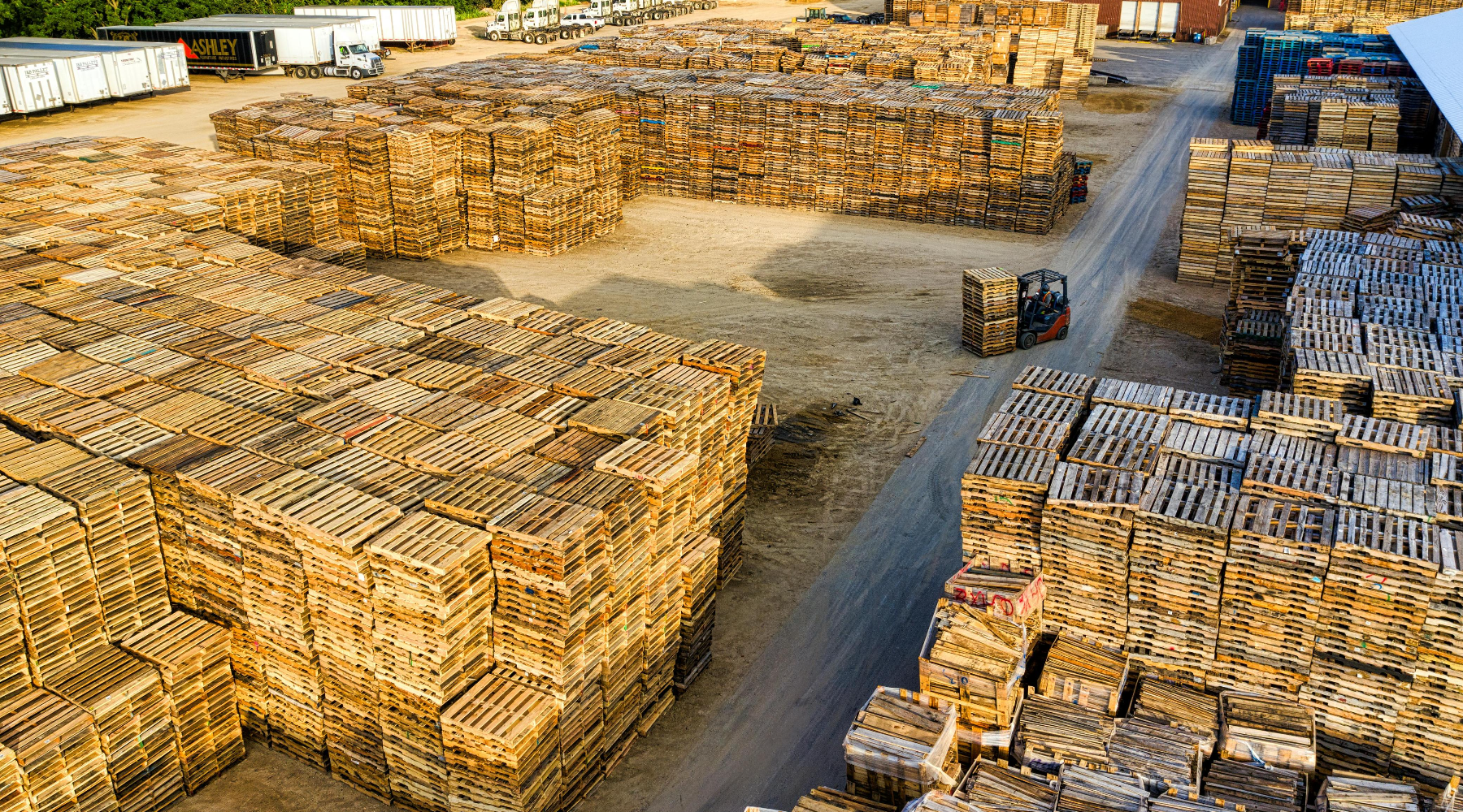 Promoting a Circular Economy